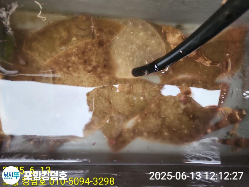 F269986835.jpg