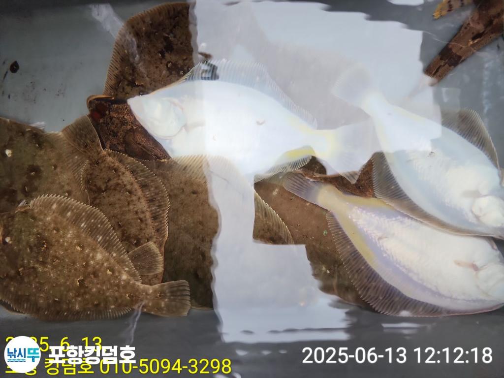 F26998690I.jpg