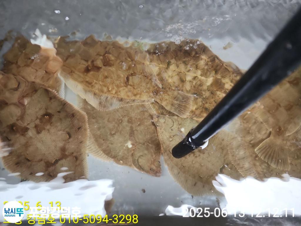 F2699870ZU.jpg