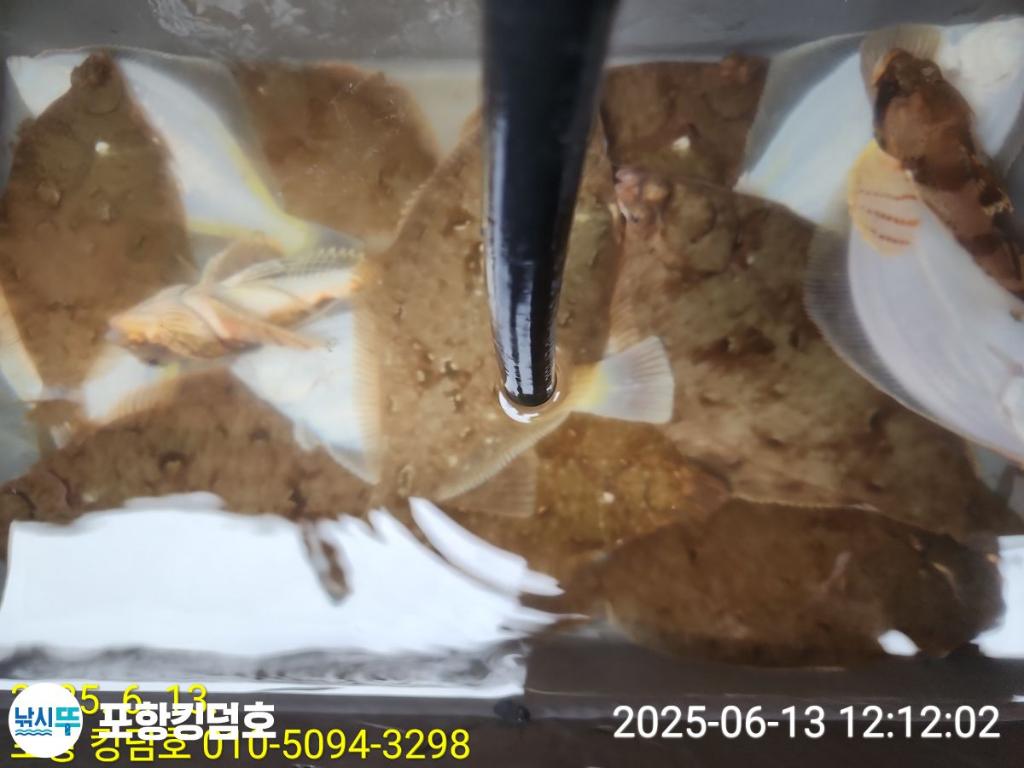 F269987133.jpg