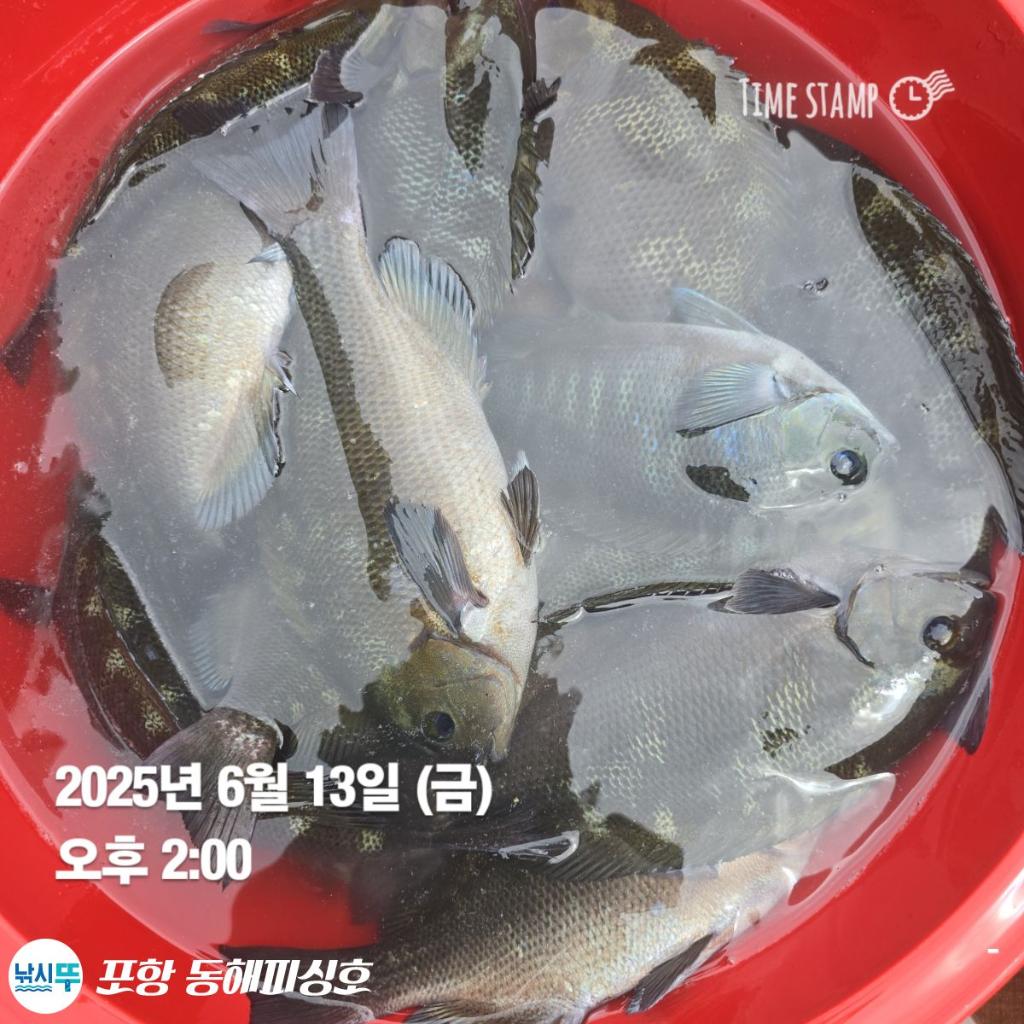 F2699942J6.jpg