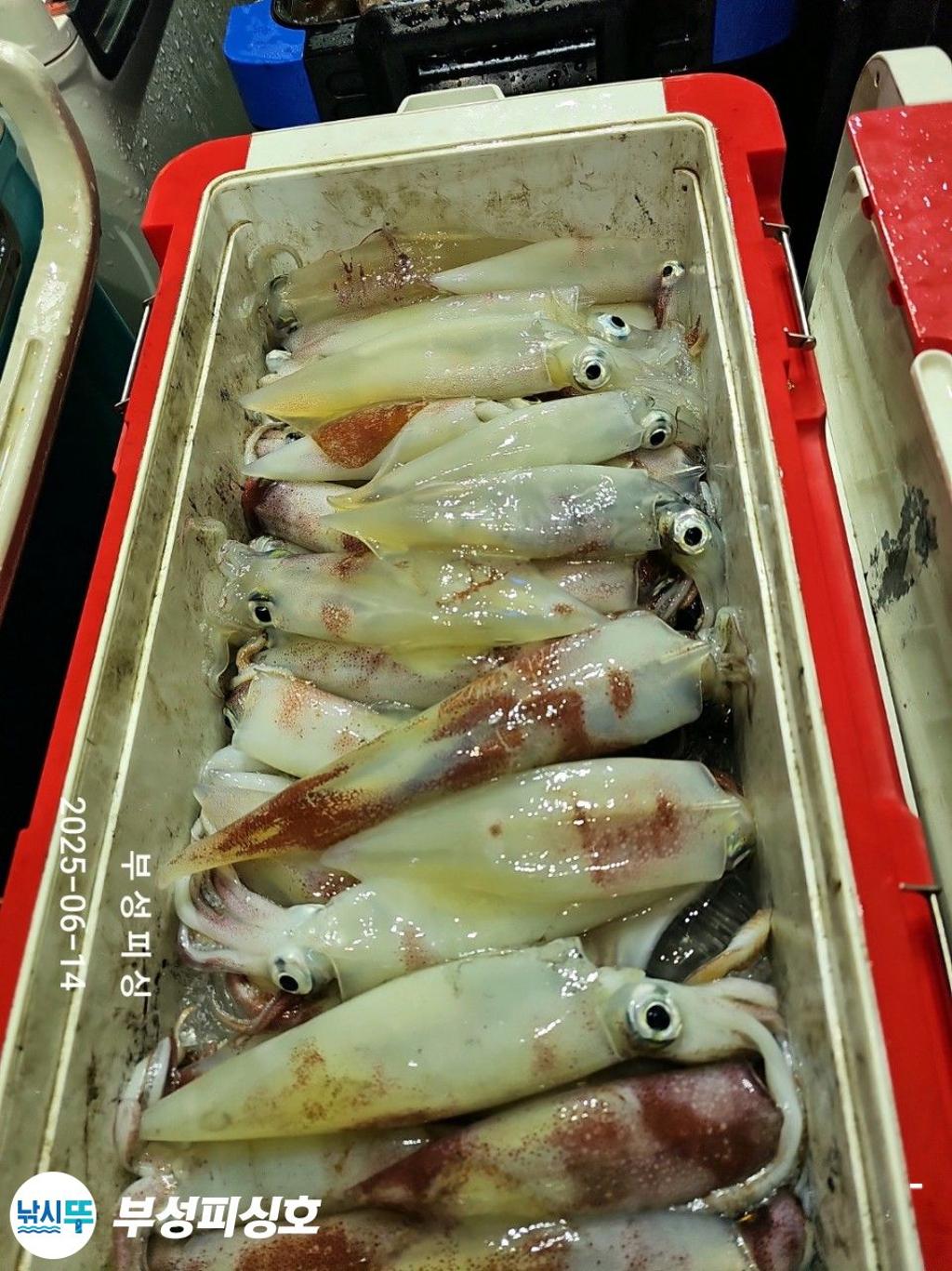 F2700022PS.jpg