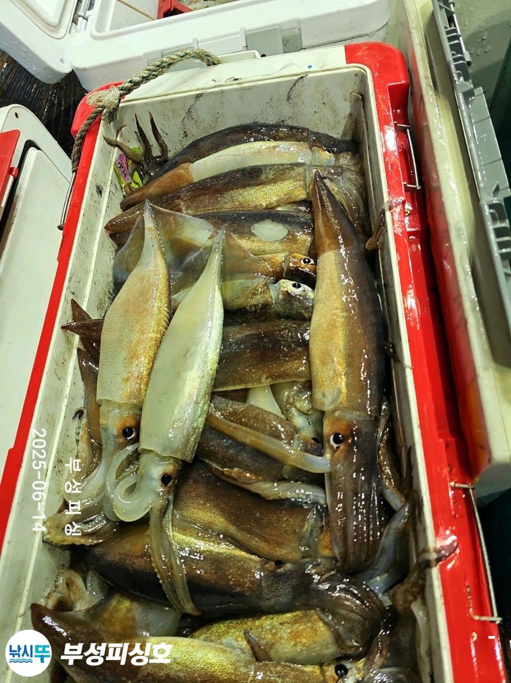 F2700023QH.jpg