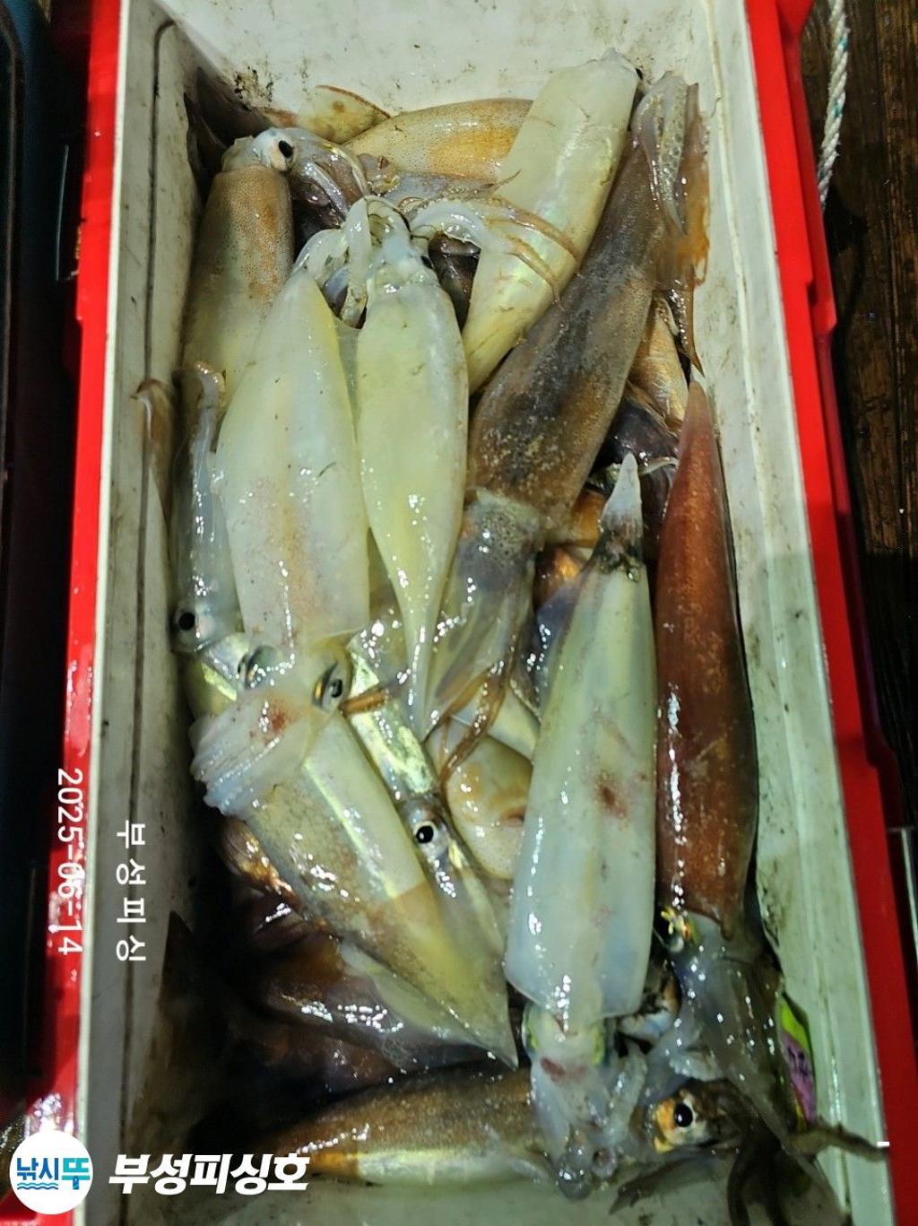 F2700025PI.jpg