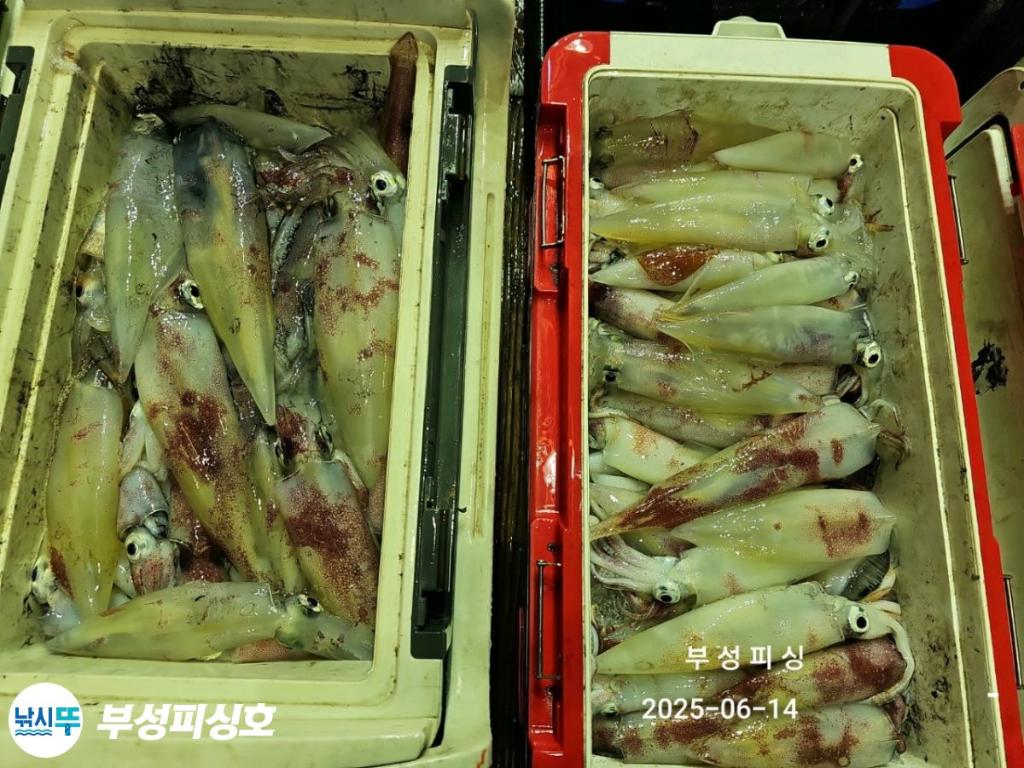 F27000265Y.jpg