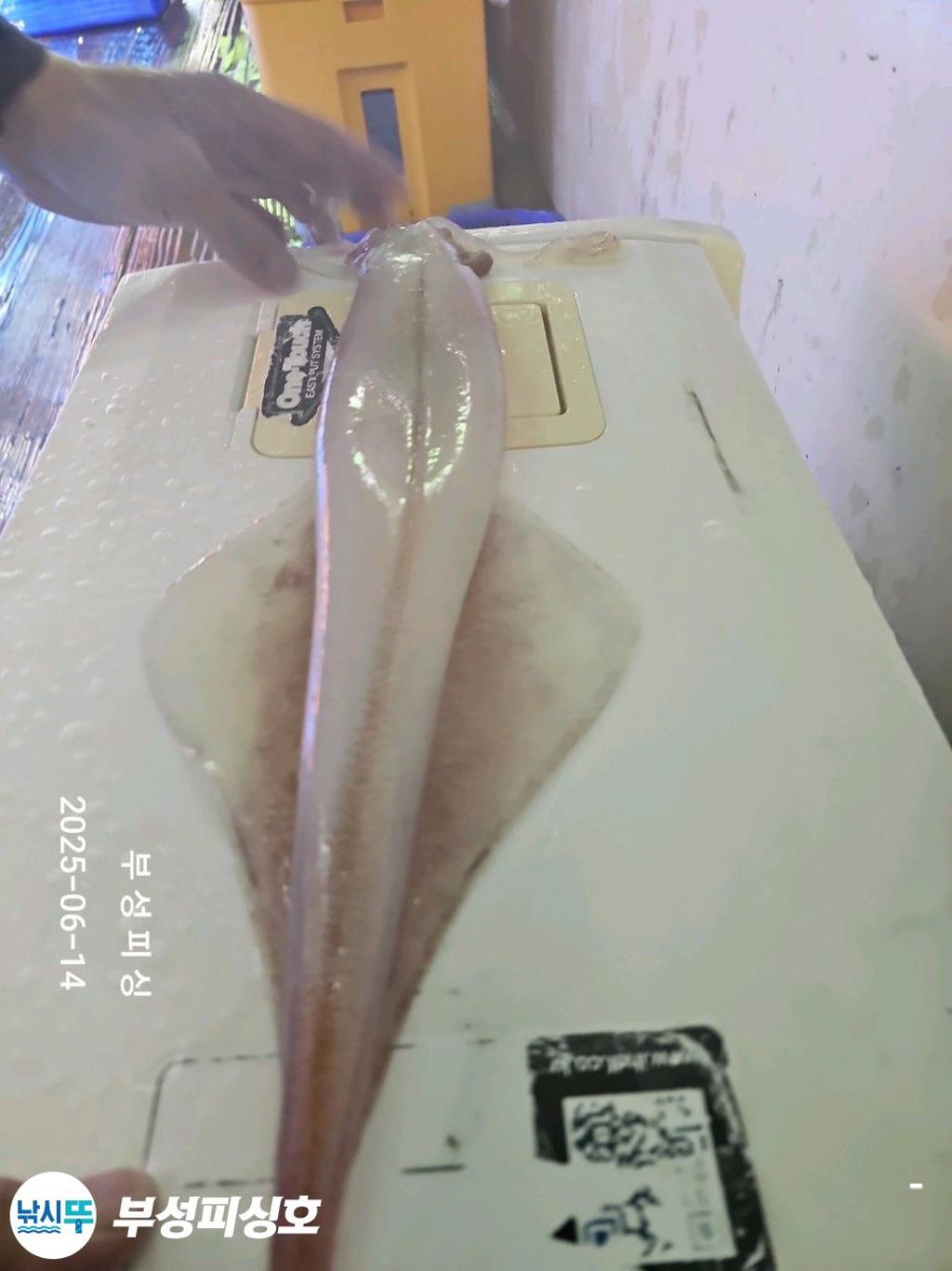 F2700035C7.jpg