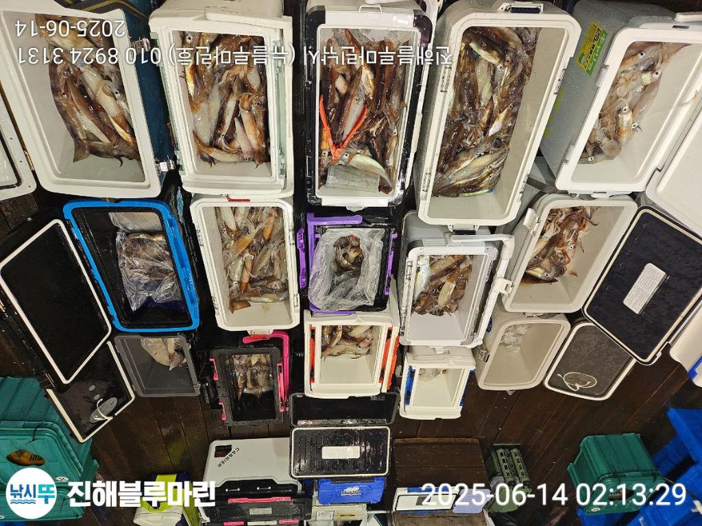 F2700258VO.jpg