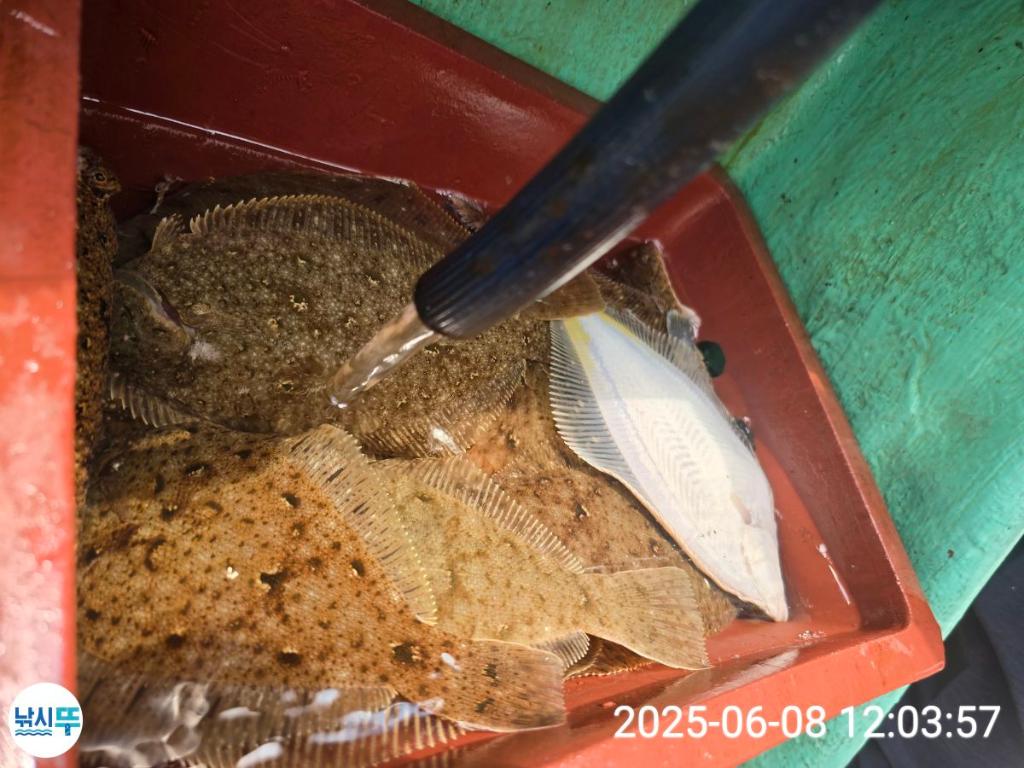 F2700307CP.jpg