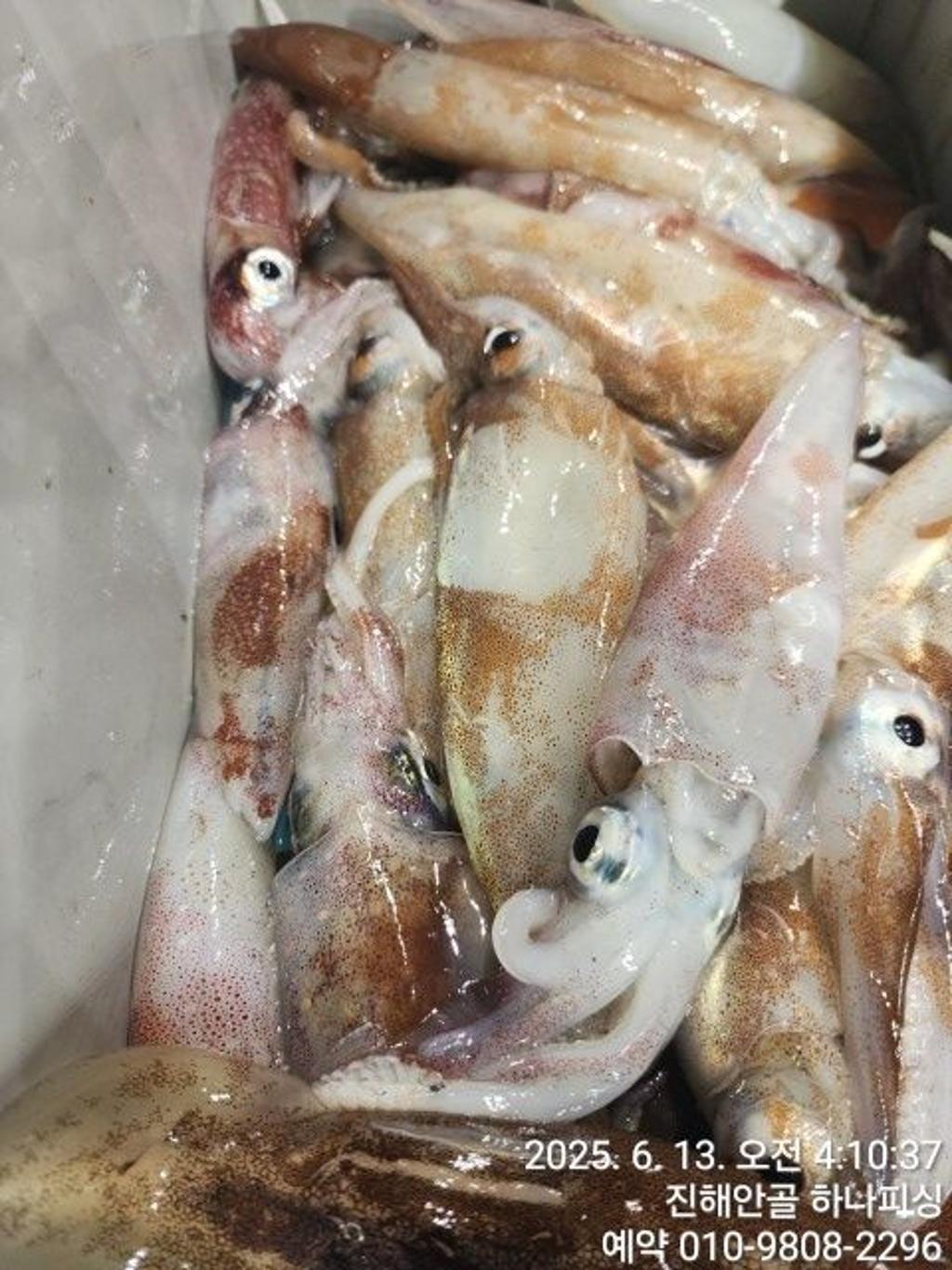 F2700434EW.jpg