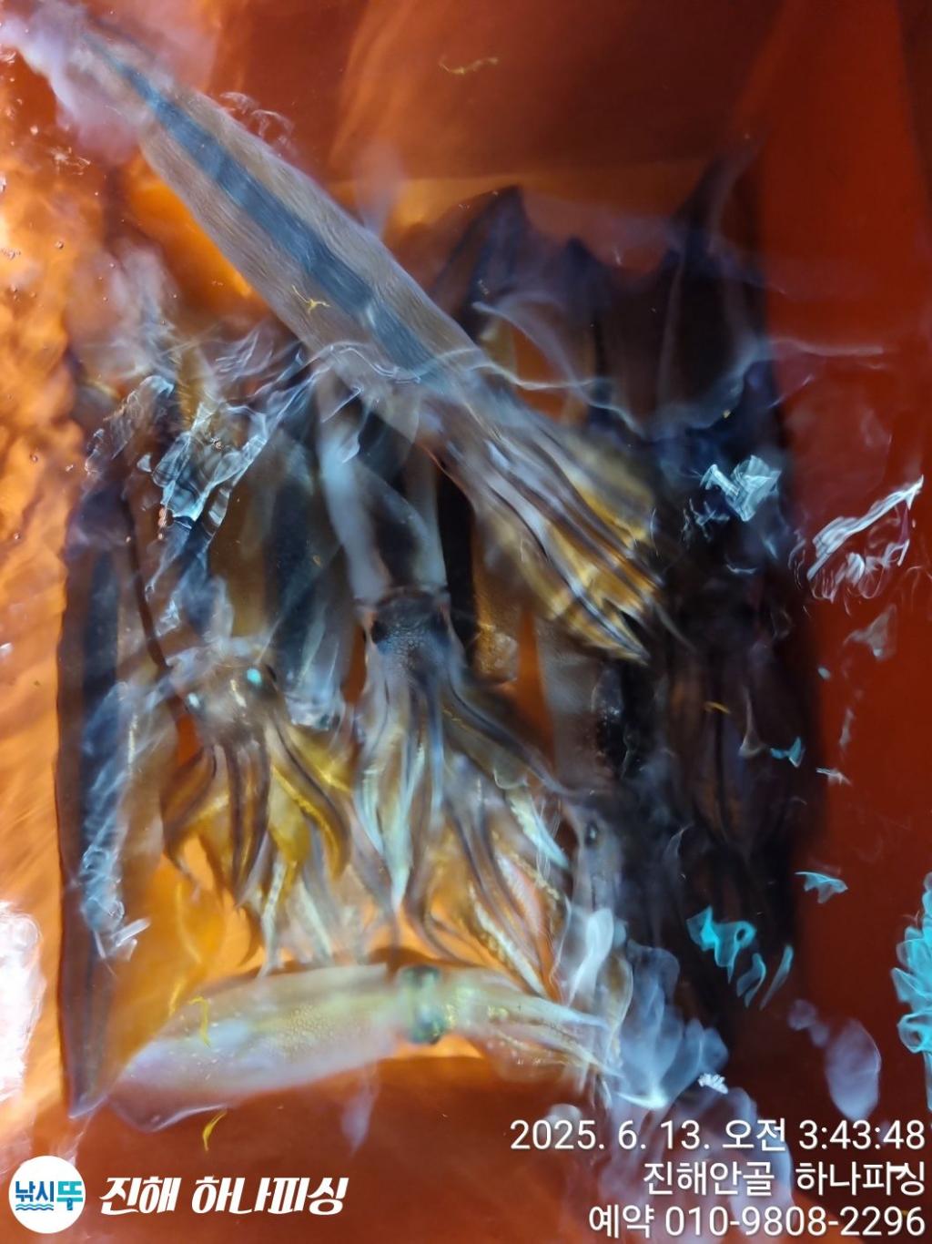 F27004400G.jpg