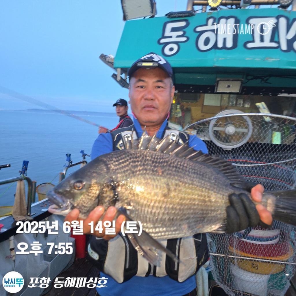 낚시뚜,감성돔,포항(운하관),포항 동해피싱호,낚시뚜13