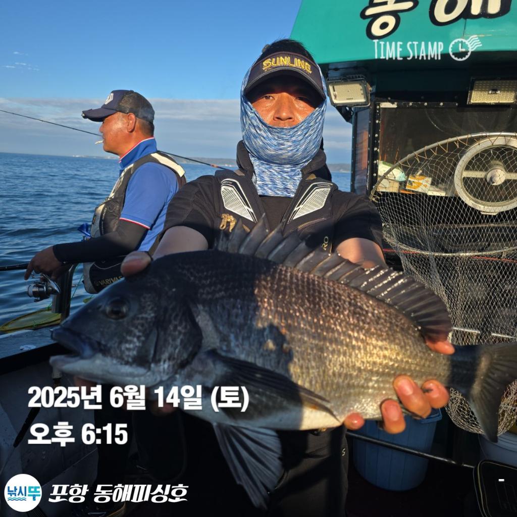 낚시뚜,감성돔,포항(운하관),포항 동해피싱호,낚시뚜10