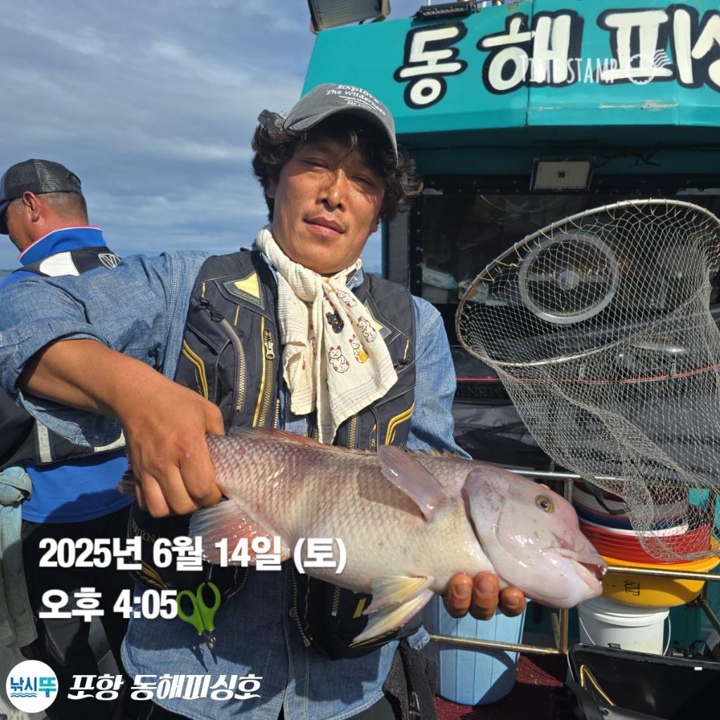 낚시뚜,감성돔,포항(운하관),포항 동해피싱호,낚시뚜2