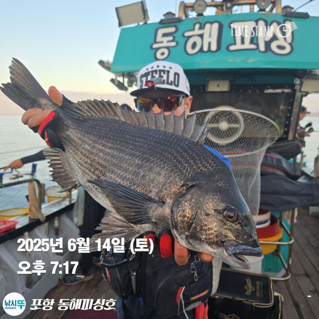 낚시뚜,감성돔,포항(운하관),포항 동해피싱호,낚시뚜0