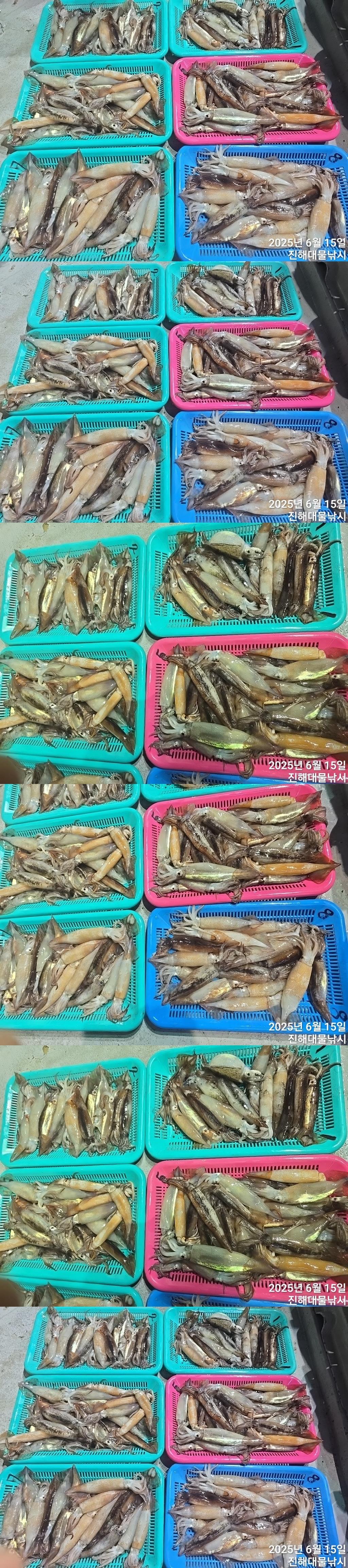 F270053912.jpg