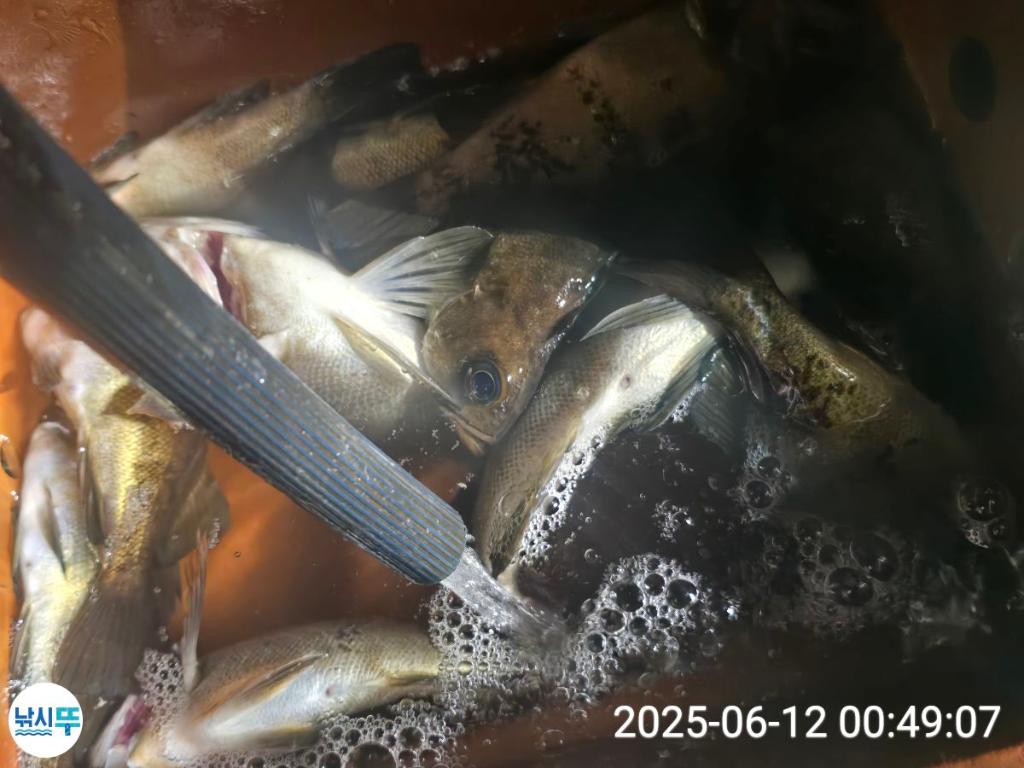 F270069234.jpg