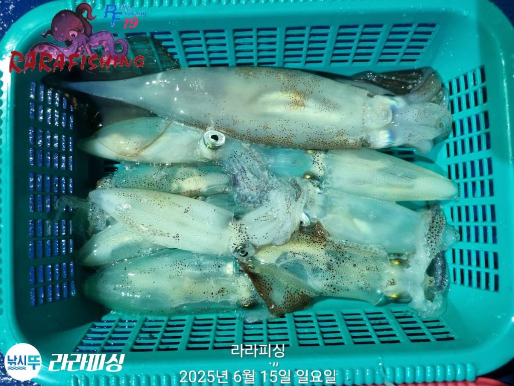 F2700844XM.jpg