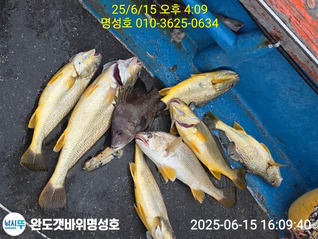 F2700864ER.jpg