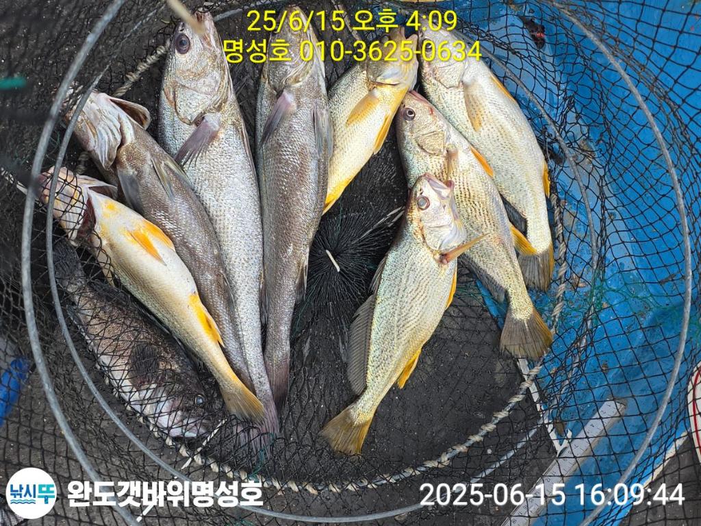 F2700865O5.jpg