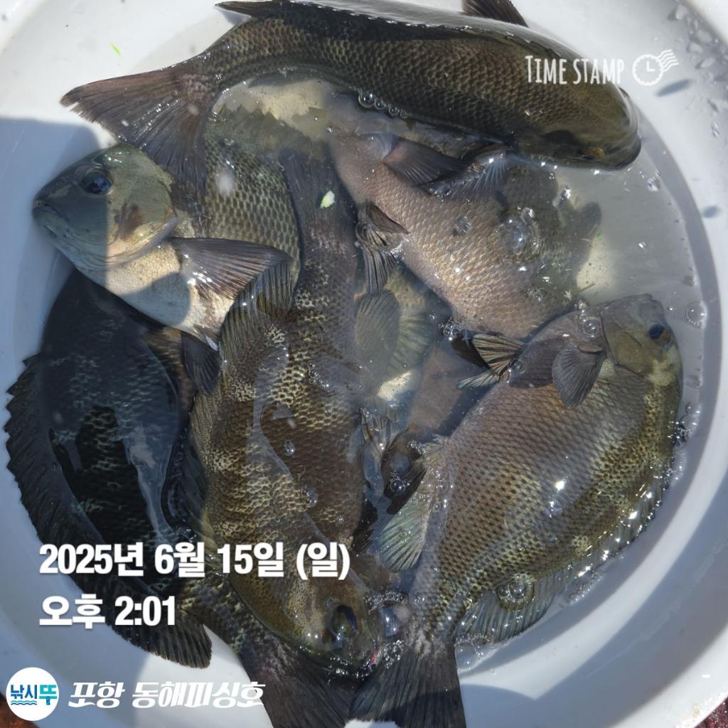 F2700946ZN.jpg