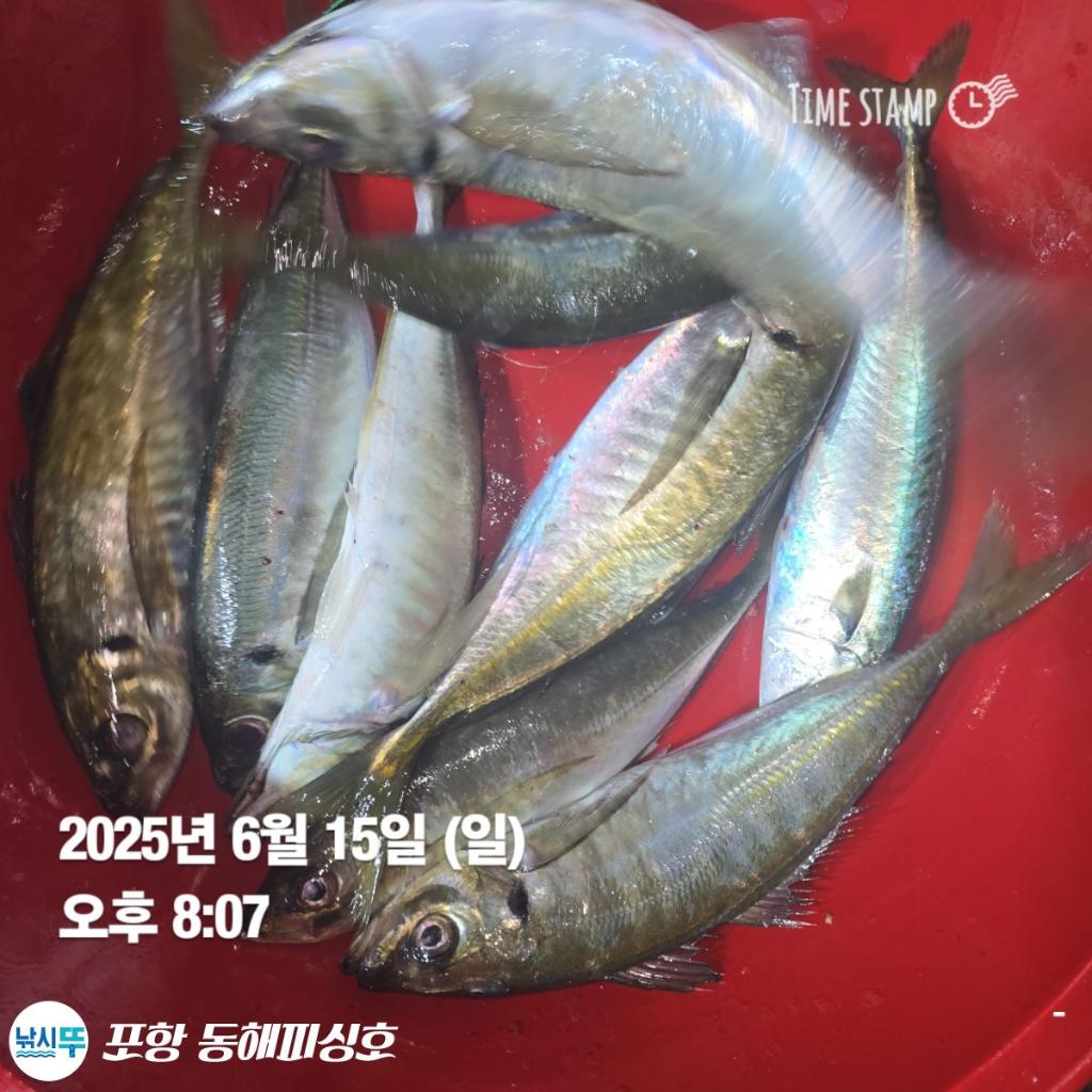 F2700951DJ.jpg