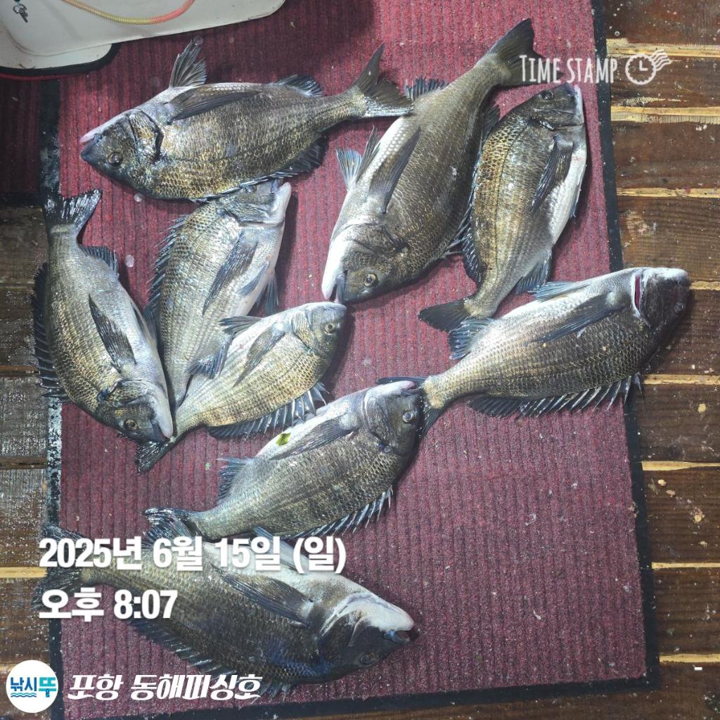 F2700952O0.jpg