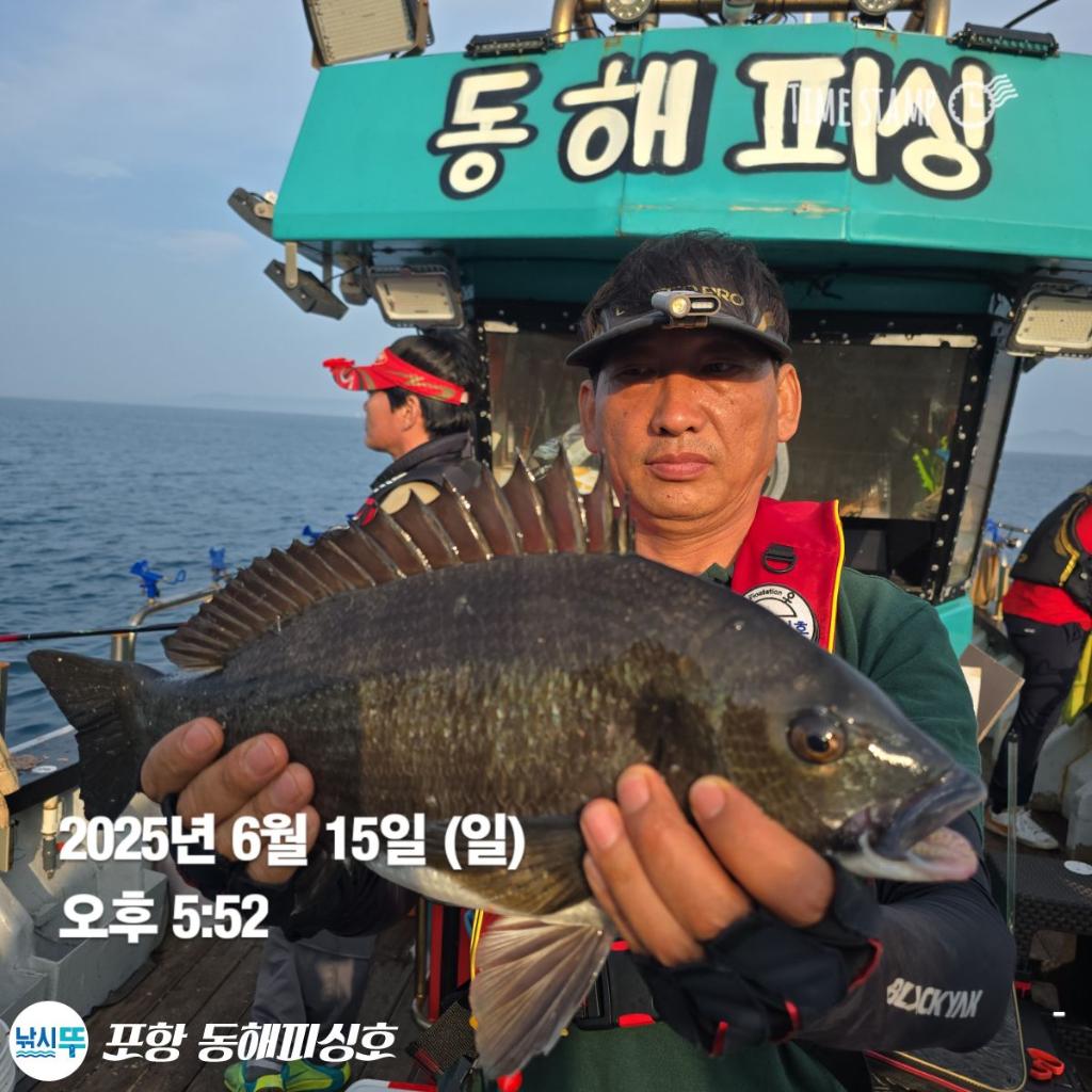 F2700956Y2.jpg