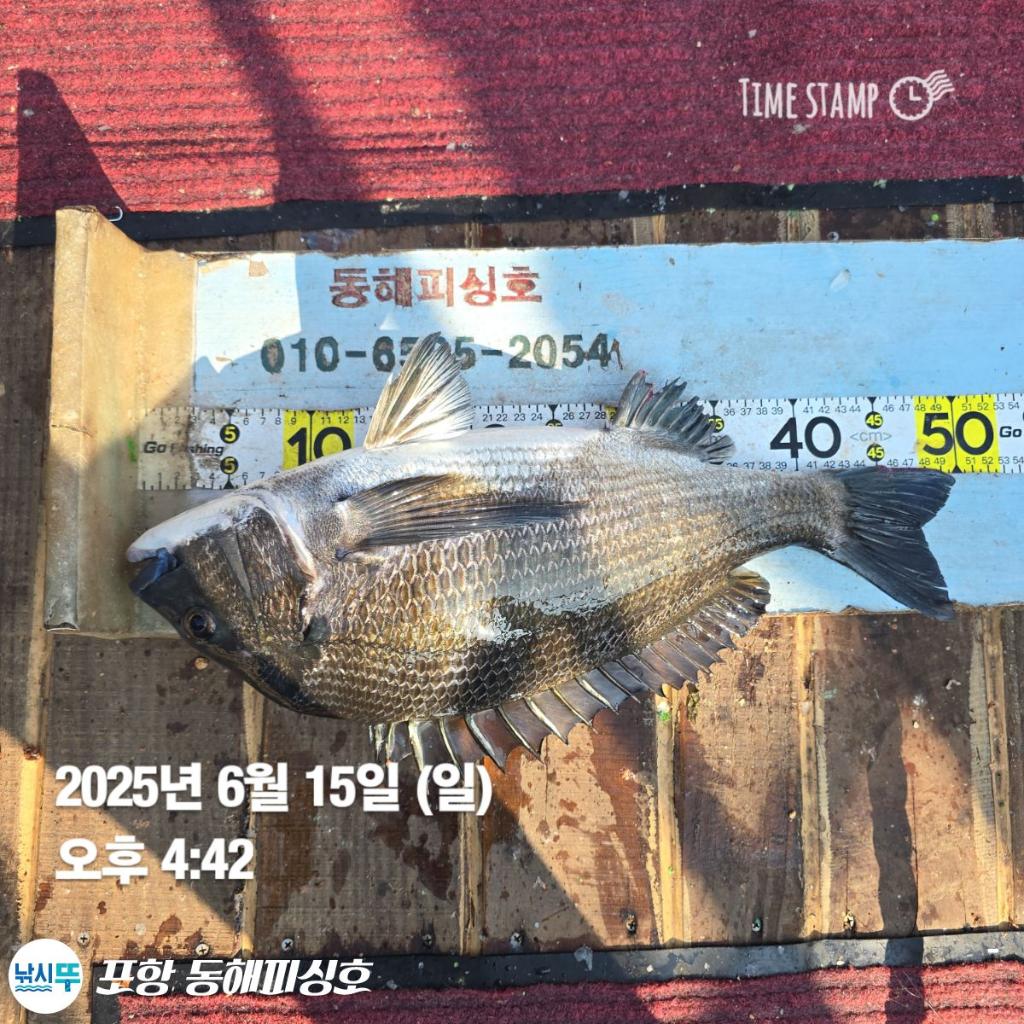 F27009594Z.jpg