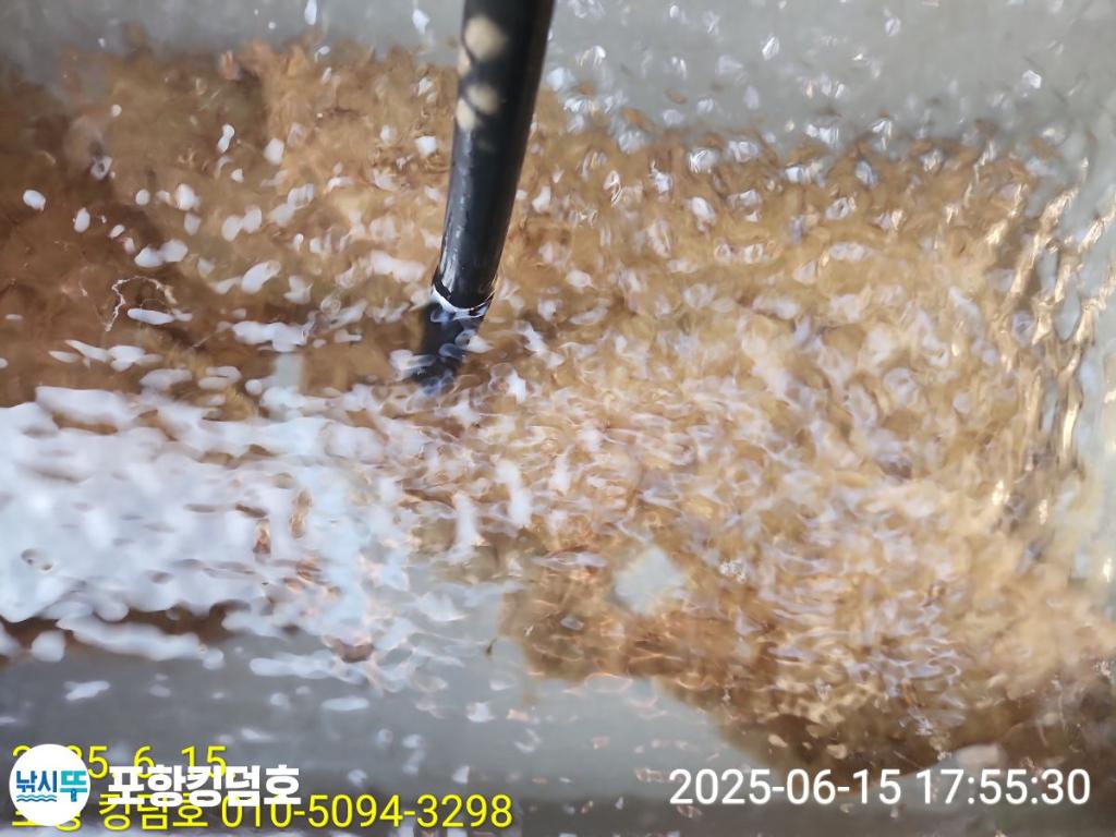 F27010361L.jpg