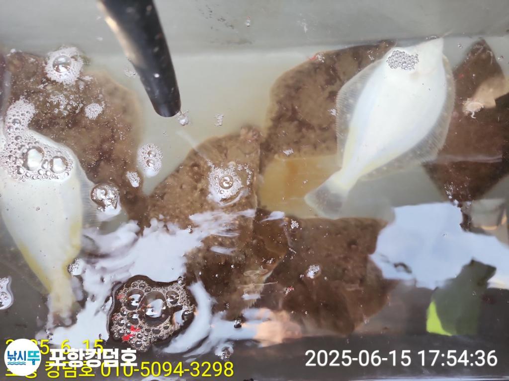 F2701040VE.jpg