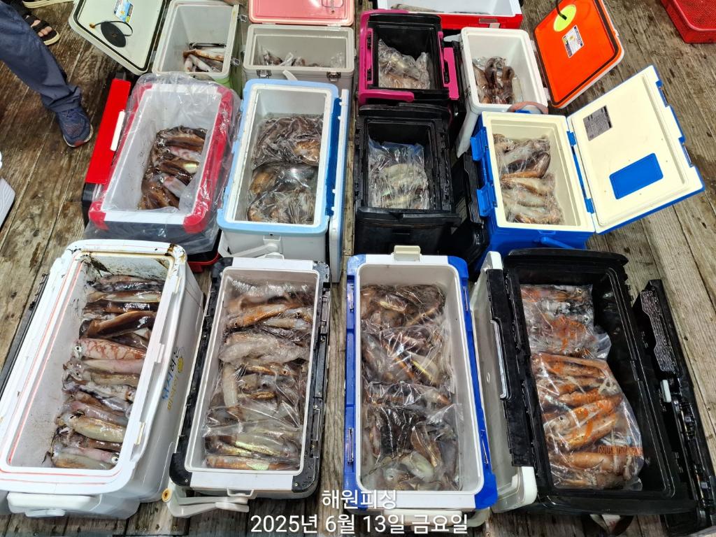 F2701068AL.jpg