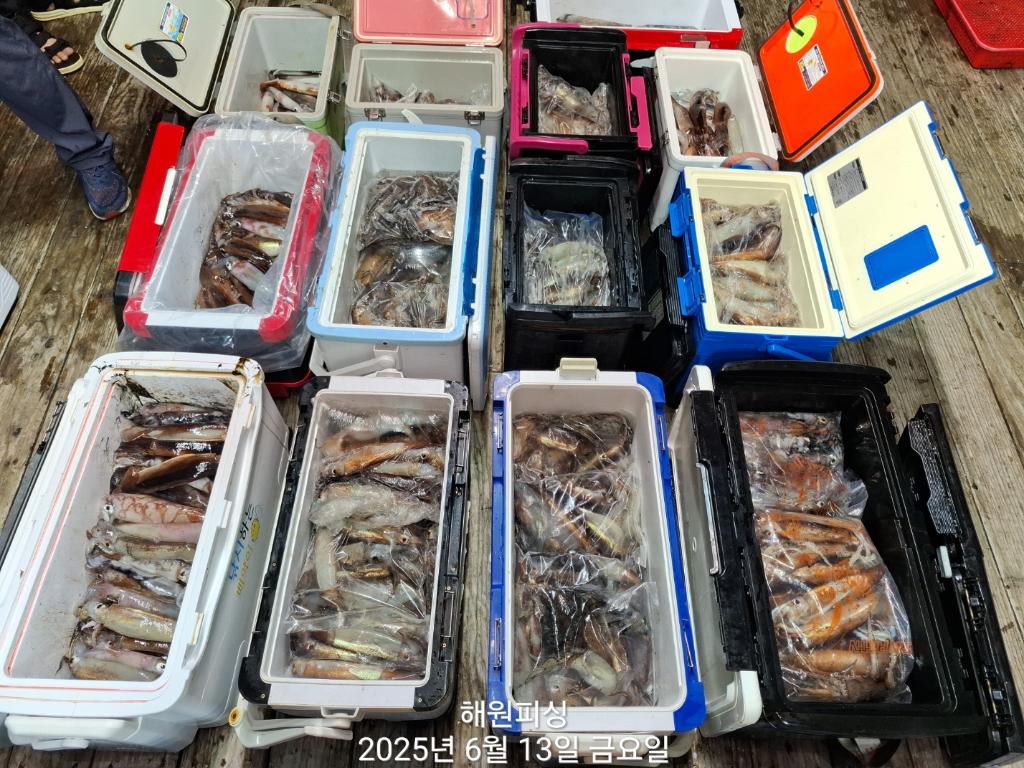 F27010690L.jpg