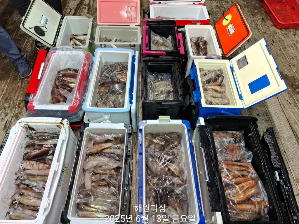 F27010713P.jpg