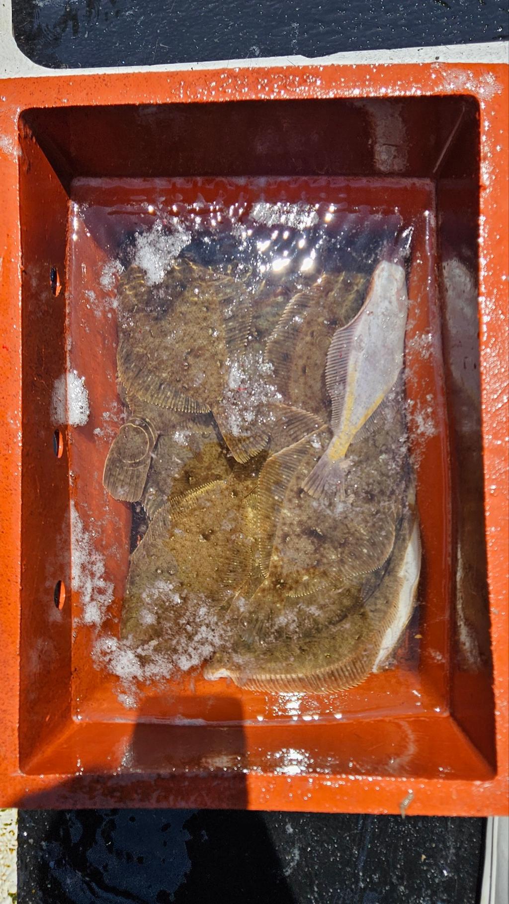 F270118202.jpg