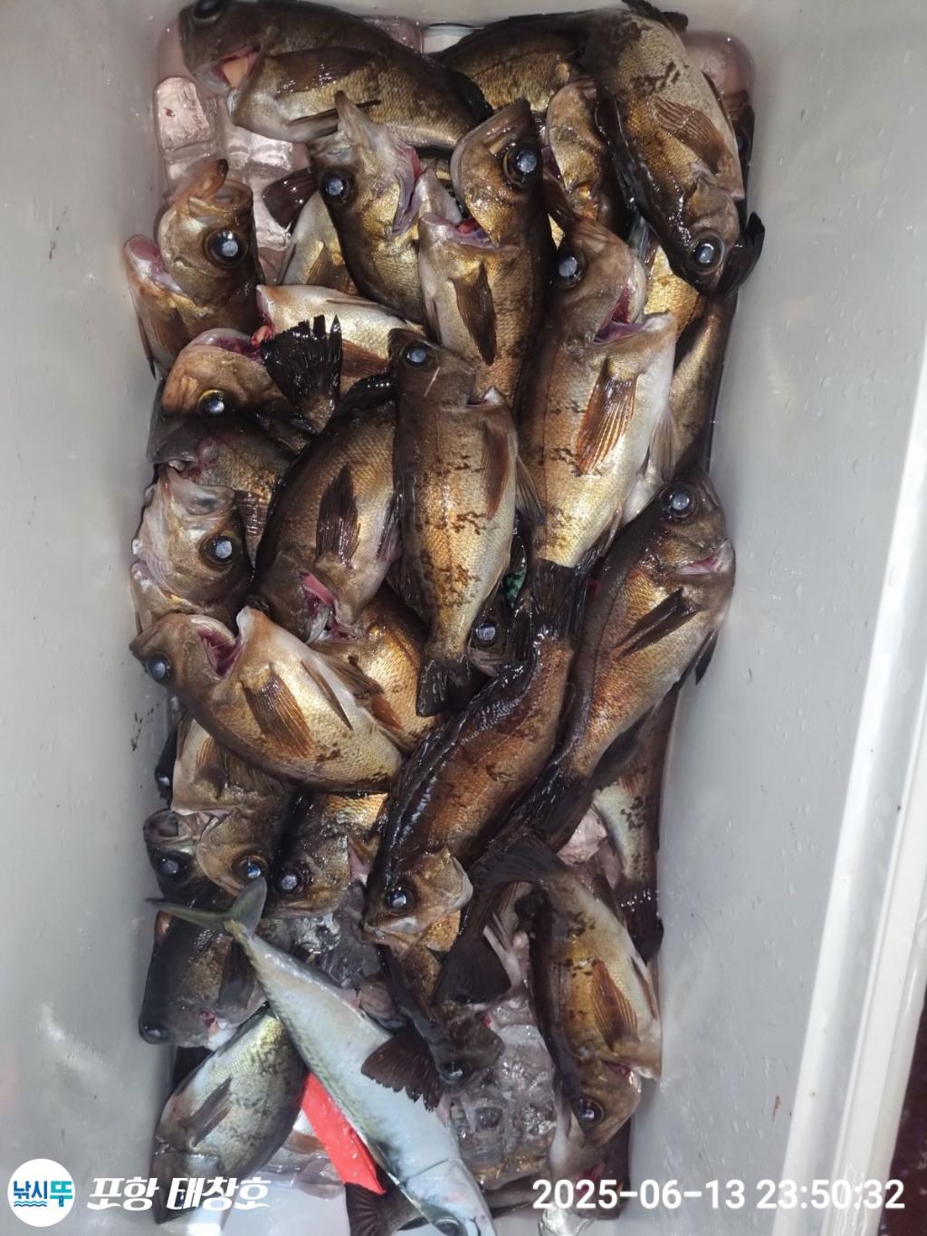 F2701334LQ.jpg