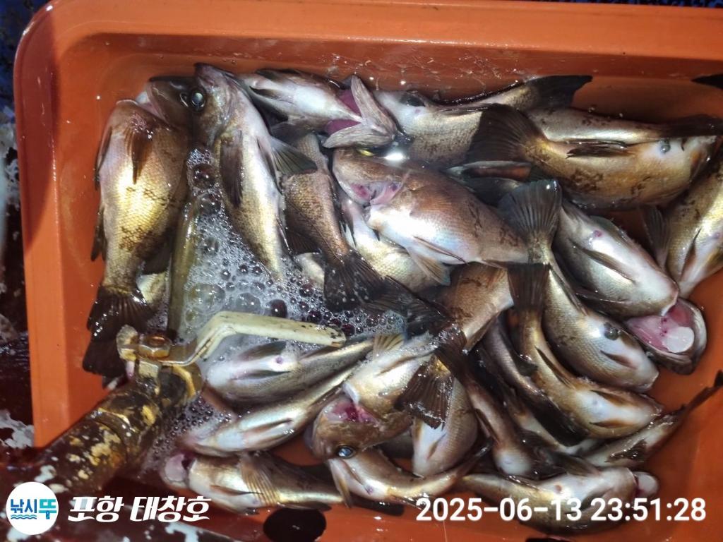 F2701337QQ.jpg