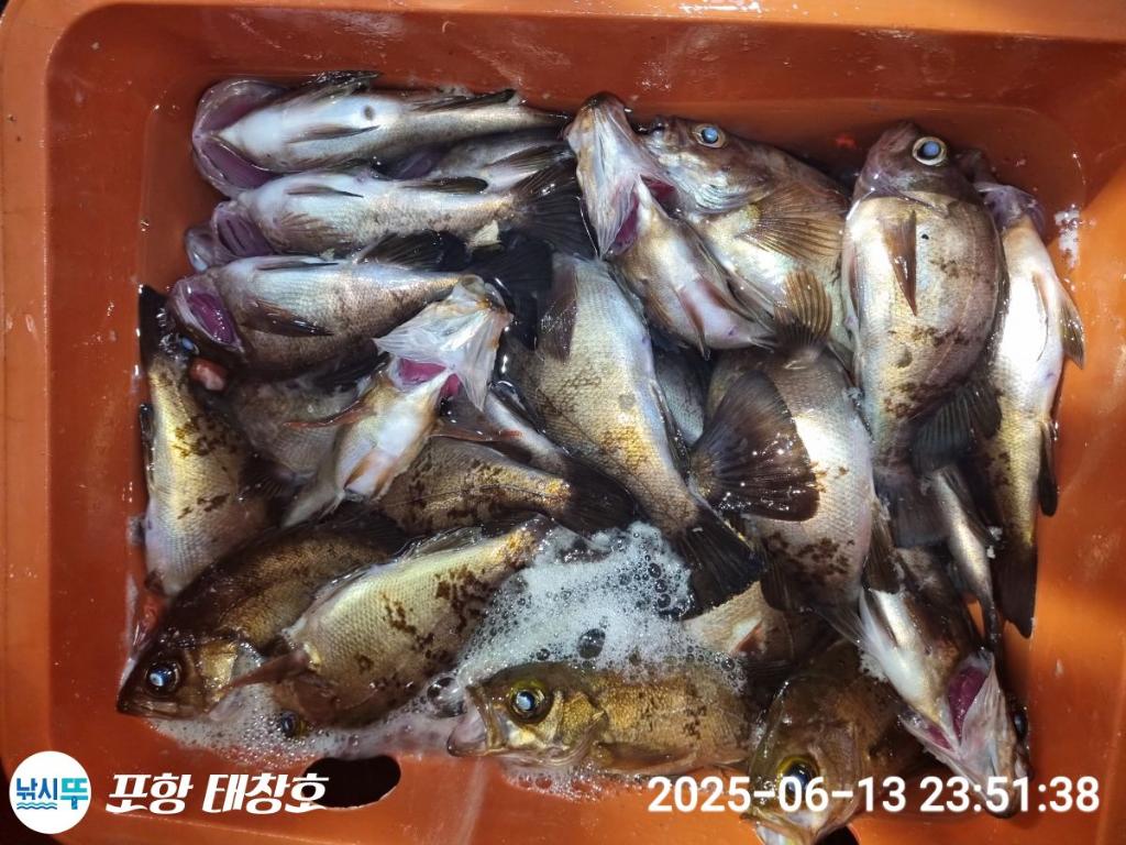 F2701338VB.jpg