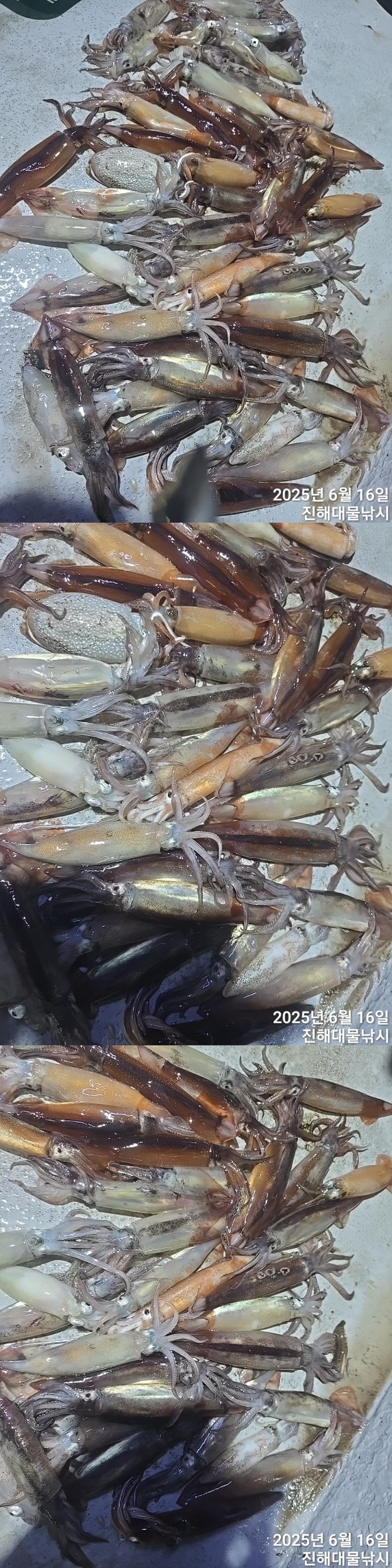 F2701347PT.jpg