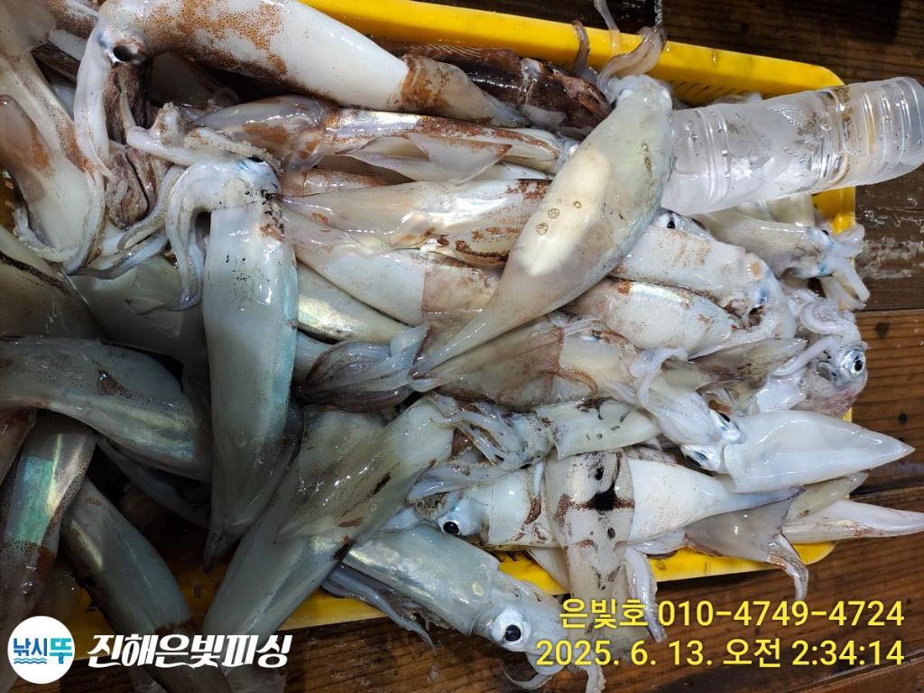 F2701502TP.jpg