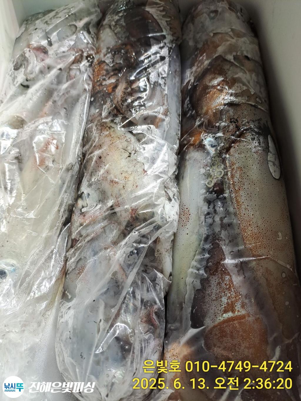 F2701559CR.jpg