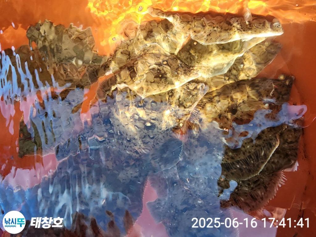 F2701623UV.jpg