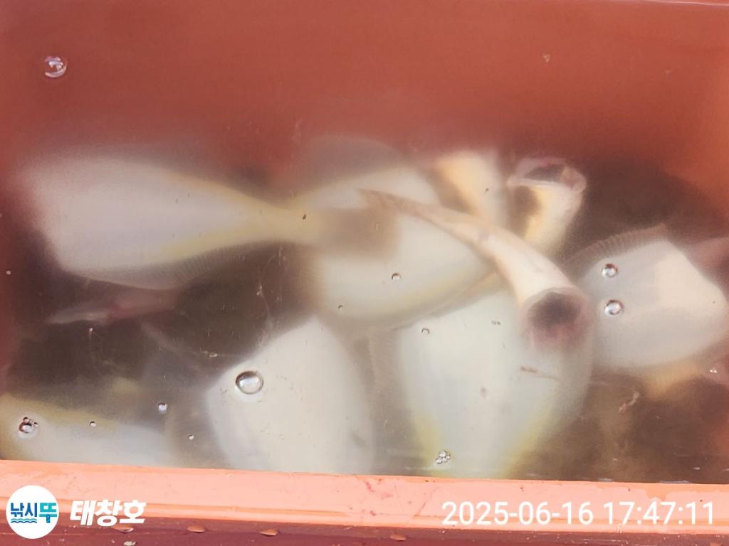 F2701625VR.jpg