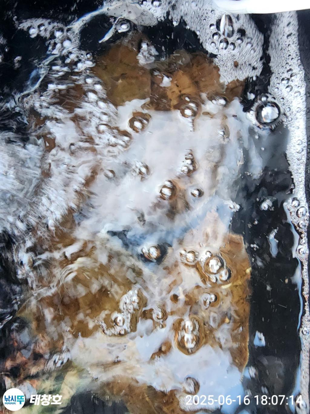 F2701627E6.jpg