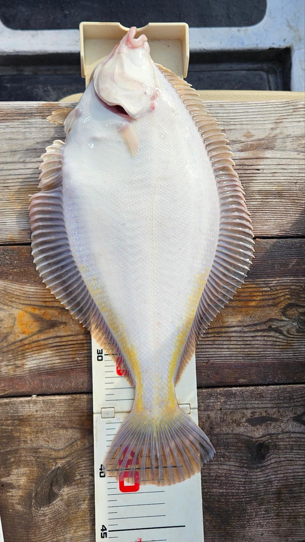 F2701704MV.jpg