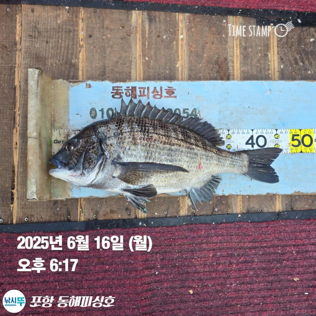 F2701719KE.jpg