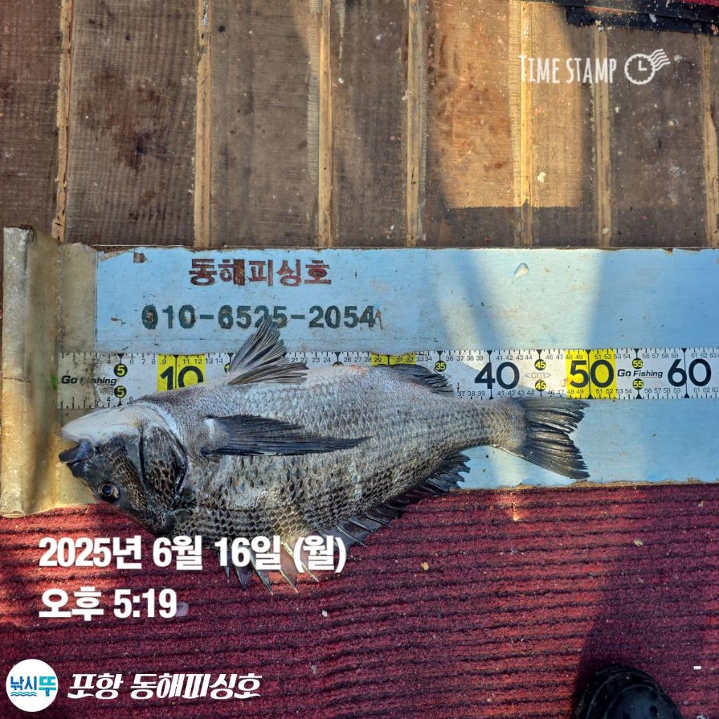 F2701720Y0.jpg