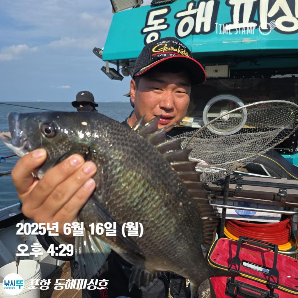 F2701724SH.jpg