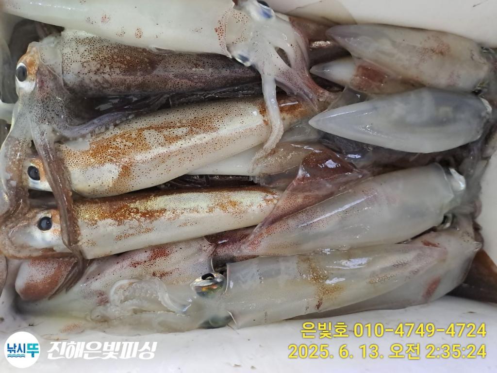 F2701801HG.jpg