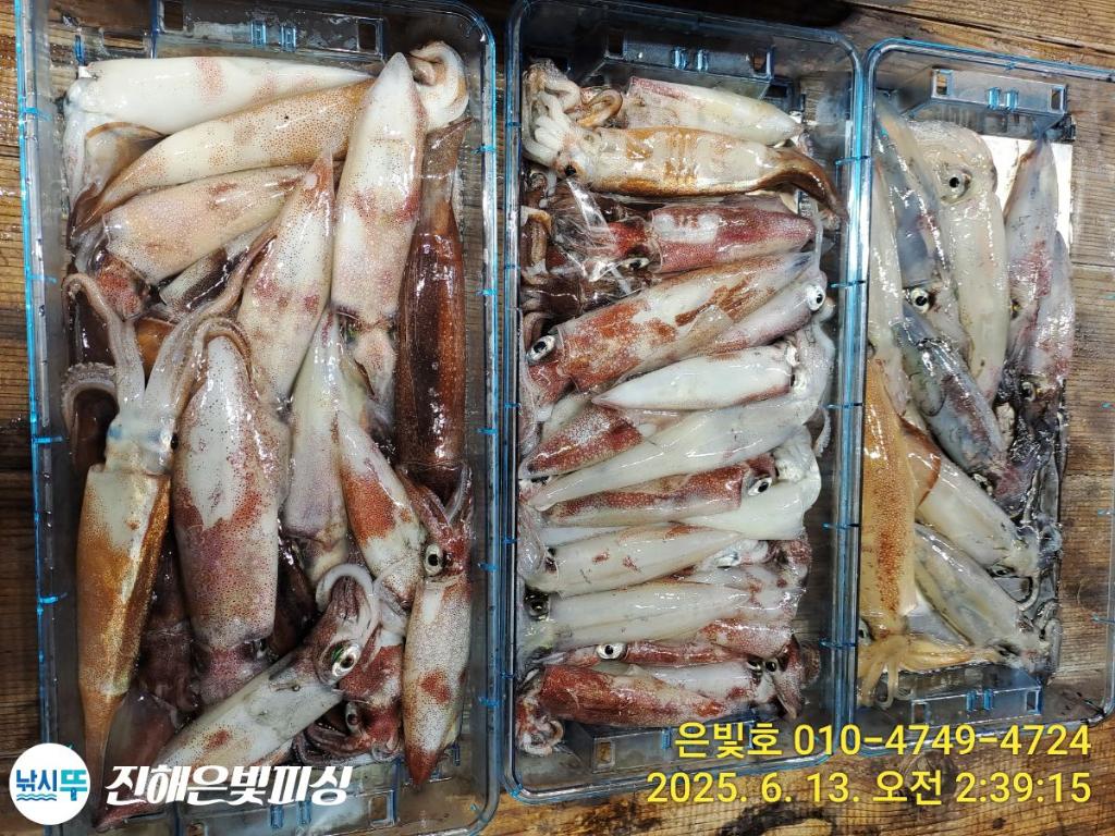F27018104T.jpg