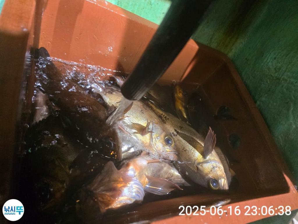 F27018243H.jpg